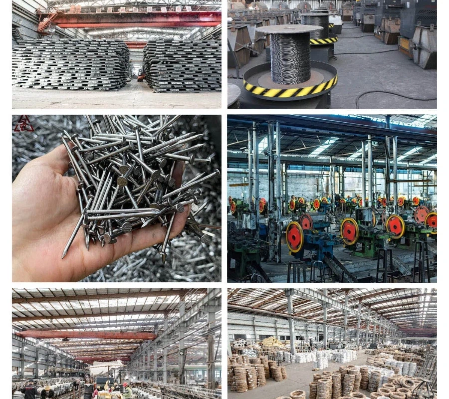 product-900-800 product-900-800